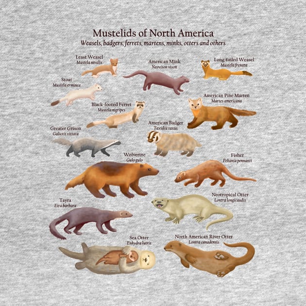 Mustelids of North America: Weasels, Otters, and Others (Light Background) by ELMayer